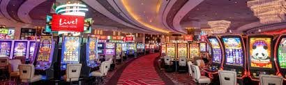 5500 bet app